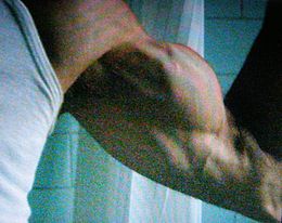 Il braccio del Belli